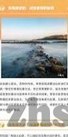 糖心视频app免费下载-糖心视频，引领娱乐新风尚——免费下载精彩纷呈