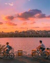 糖心直播app苹果下载-一键解锁，糖心直播——苹果用户的精彩娱乐新选择